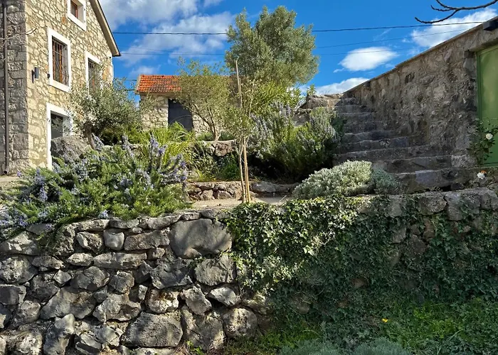 Mediterranean Story * Podgorica