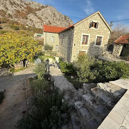 Mediterranean Story *