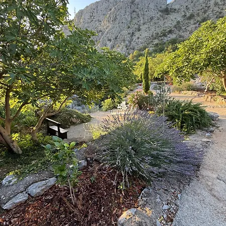 Mediterranean Story *